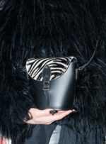 Barrel Zebra - Image 4